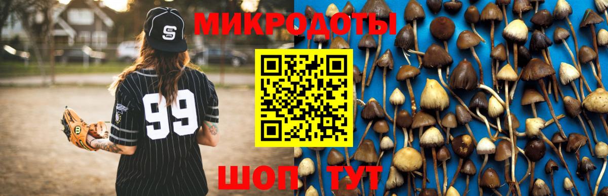 Псилоцибиновые грибы Psilocybe Мелеуз